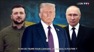 plan-de-trump-pour-l-ukraine-un-cadeau-a-poutine-90a72e-0@1x.jpg