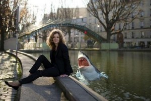 nkm les dents de la maire