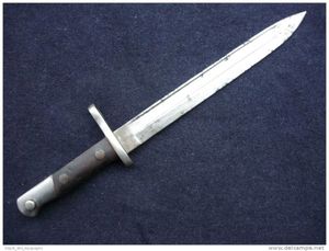 DIX AGRESSIONS PAR HEURE EN ALGERIE !