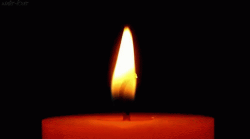 GIF - 222.3 ko