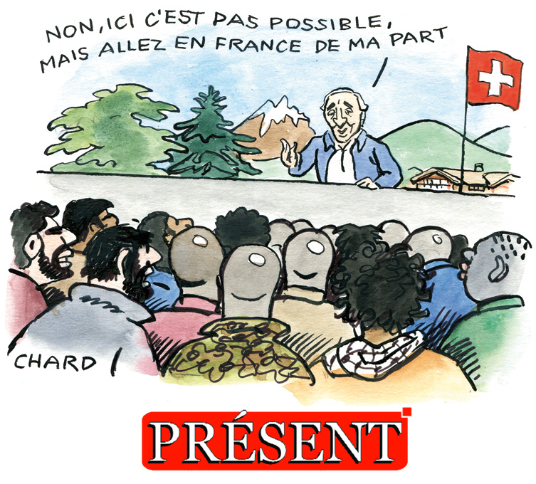 Chard-Présent-8432