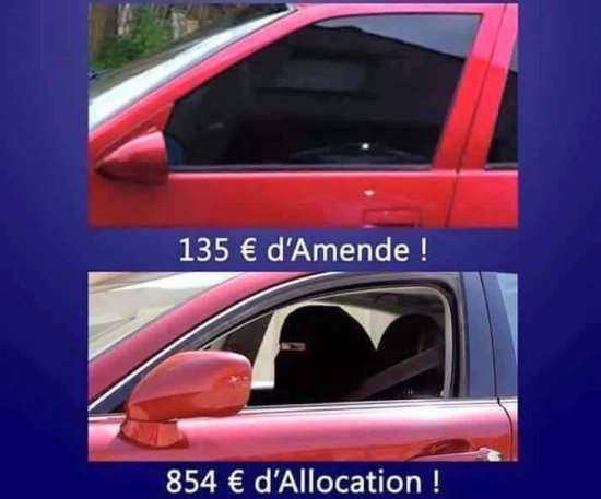 JPEG - 31.8 ko