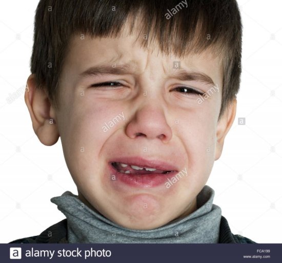 JPEG - 81.9 ko