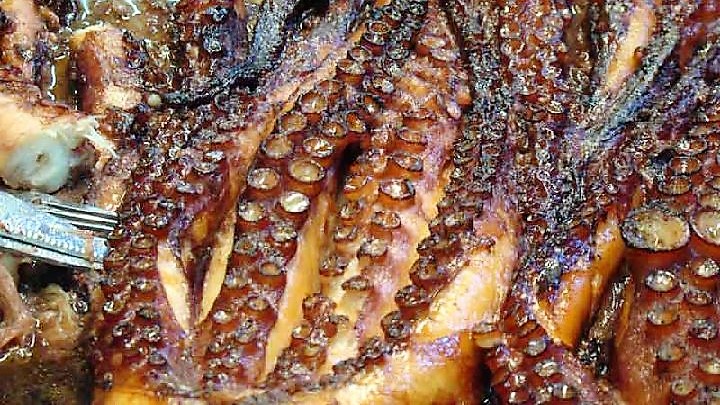 poulpe grillé au four 