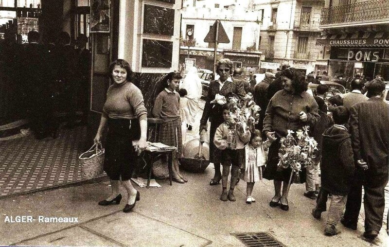 Oran- SDV- 1152- Rameaux